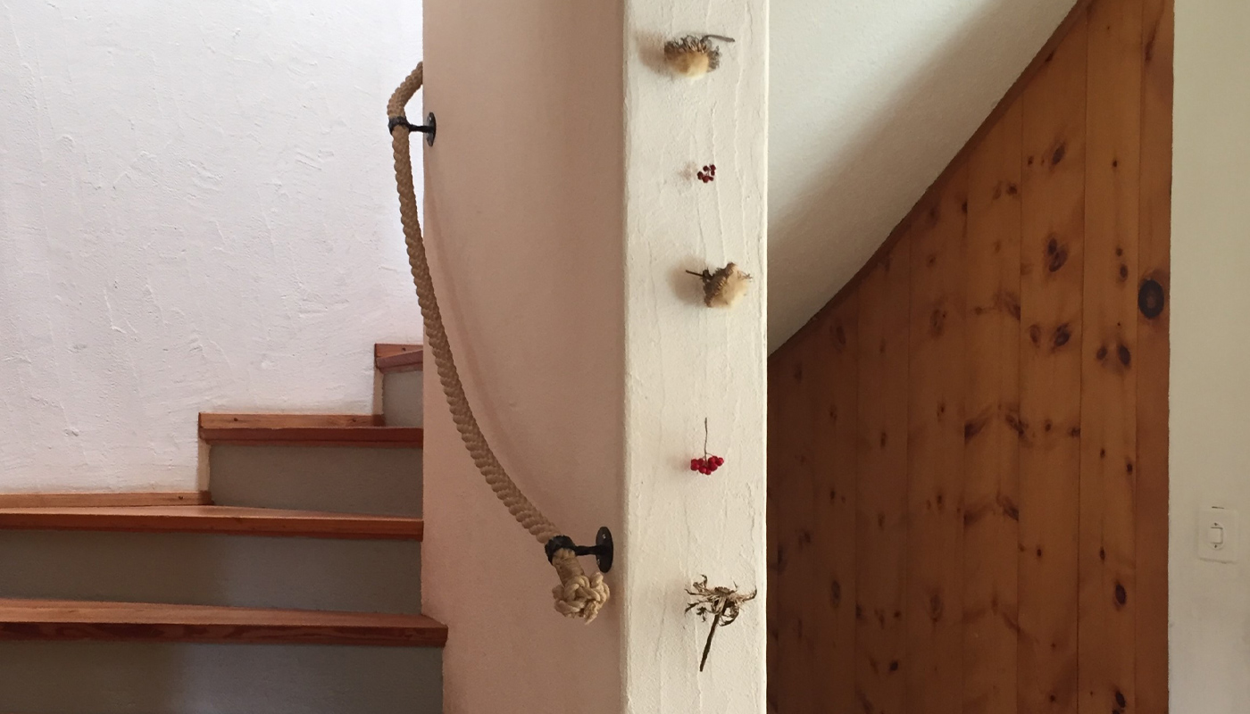 Das Haus und seine Geschichte